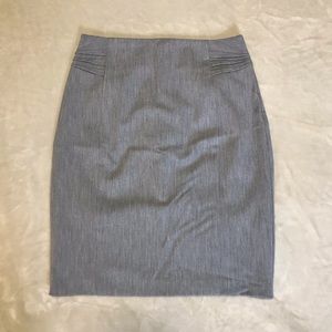 Express Pencil Skirt